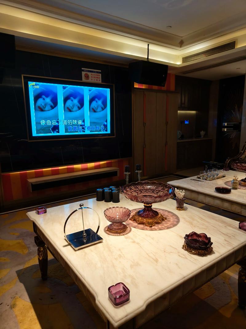 遂宁商务KTV总排行-安居区ktv预定